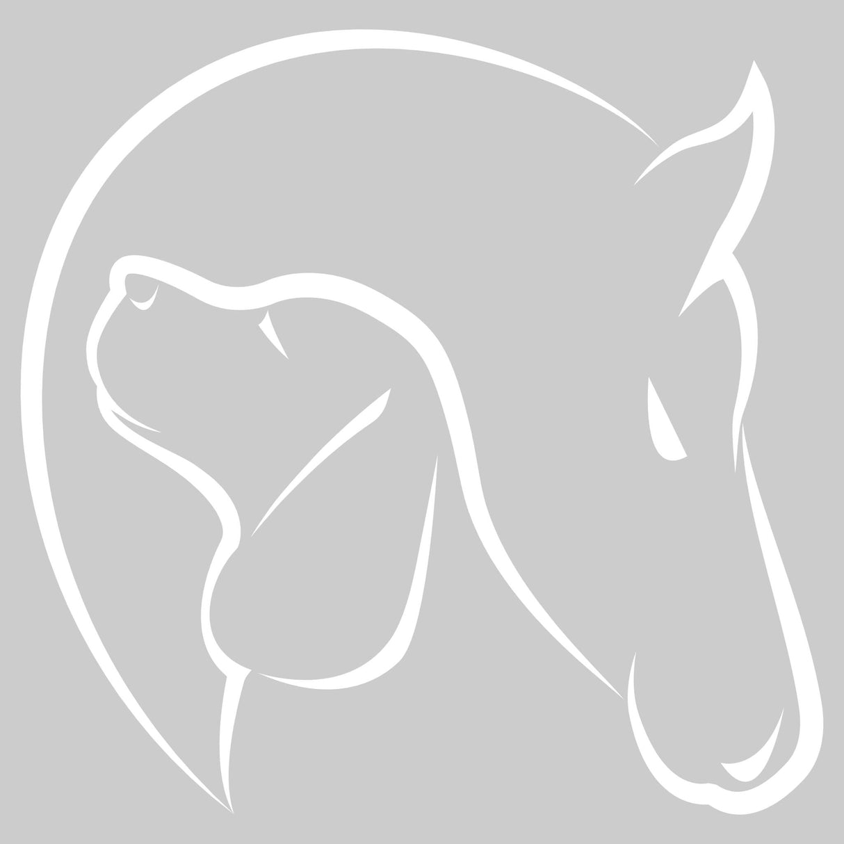 Hoodie Motiv Dog & Horse Weiss